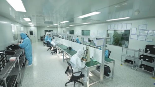 科技強國 創新在吉林發力，重點產業科技創新助推創新型省份建設