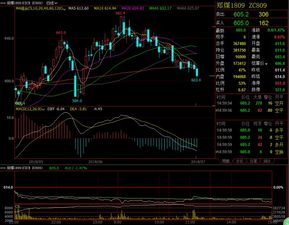 黑色系晚間高空為主,商品期貨多數(shù)震蕩偏強